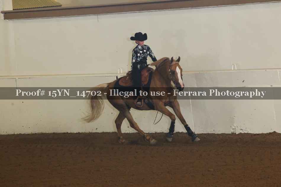 Proof 15YN_14702