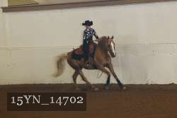 15YN_14702 proof