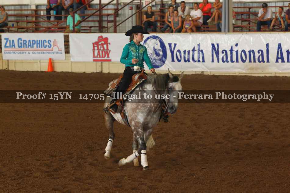 Proof 15YN_14705