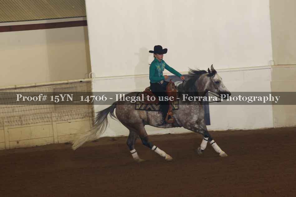 Proof 15YN_14706