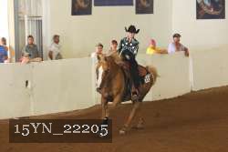 15YN_22205 proof