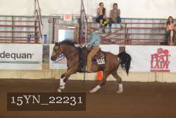 15YN_22231 proof