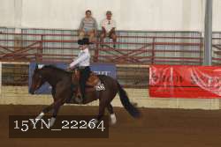 15YN_22264 proof