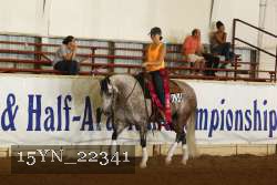 15YN_22341 proof