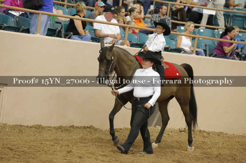 Proof 15YN_27006
