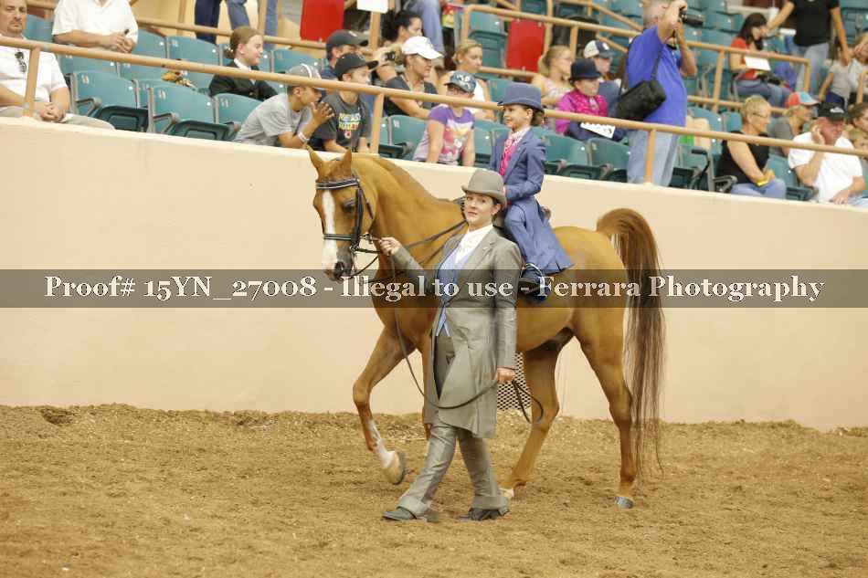 Proof 15YN_27008