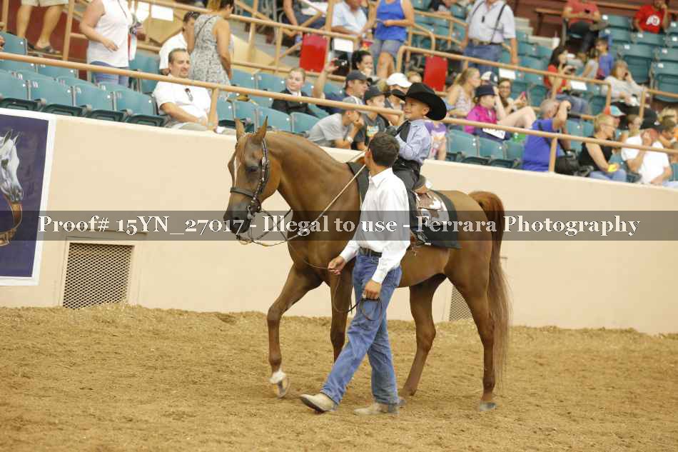 Proof 15YN_27017
