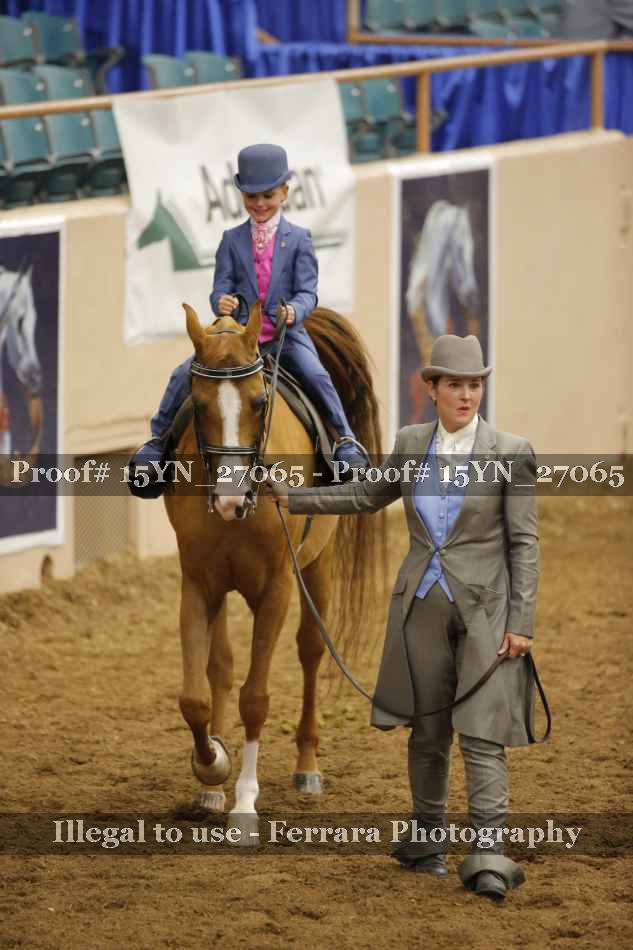 Proof 15YN_27065