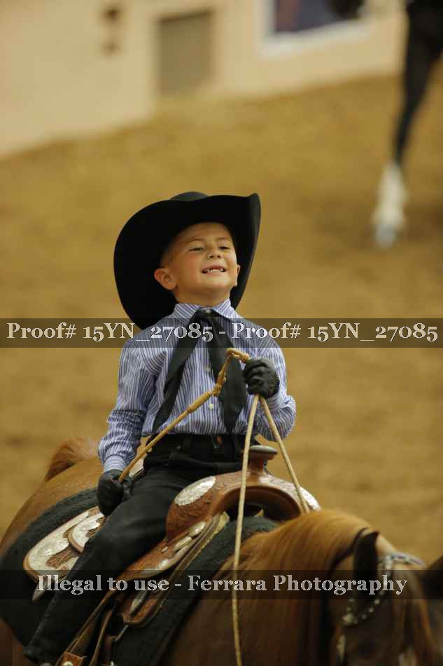 Proof 15YN_27085