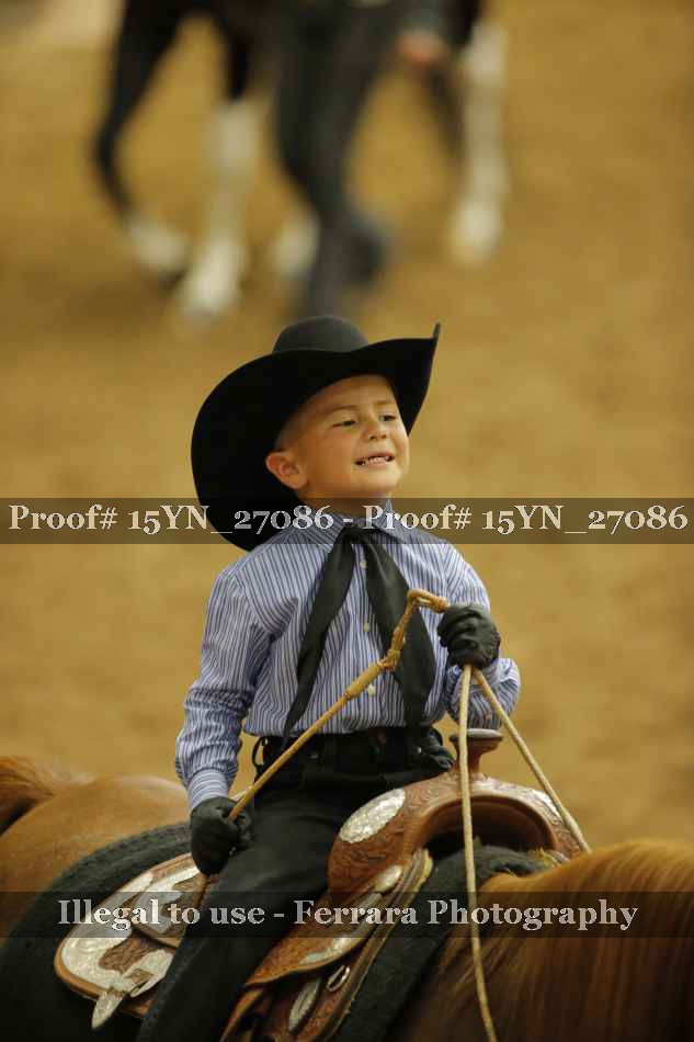 Proof 15YN_27086