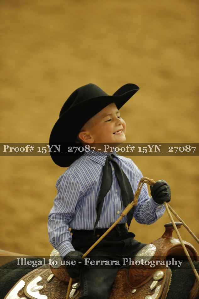 Proof 15YN_27087