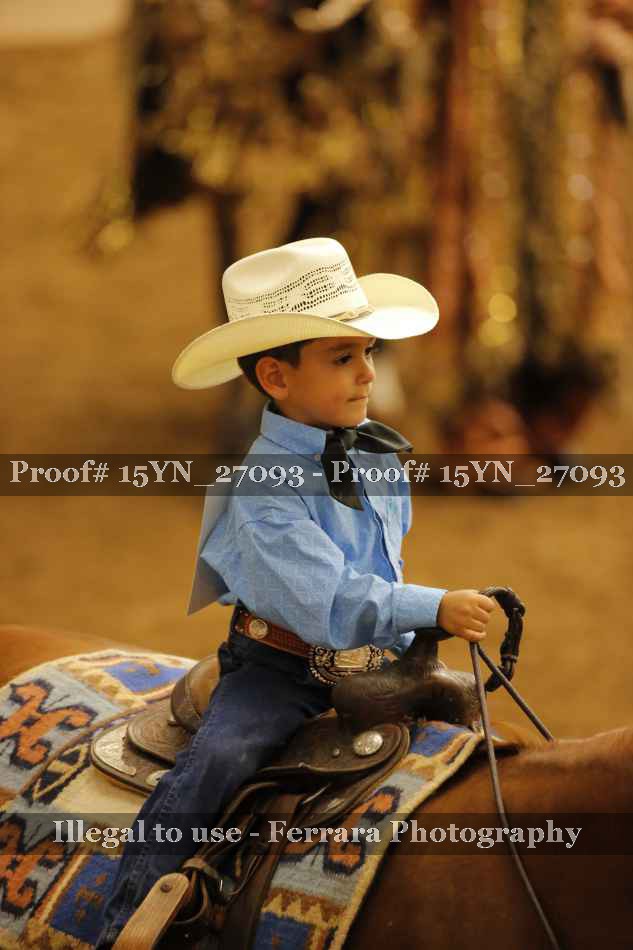 Proof 15YN_27093