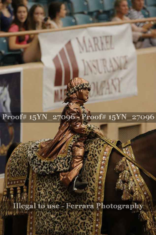 Proof 15YN_27096