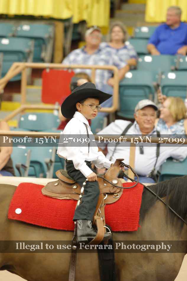Proof 15YN_27099