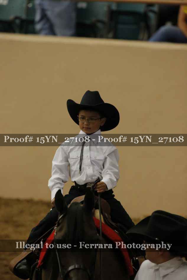 Proof 15YN_27108