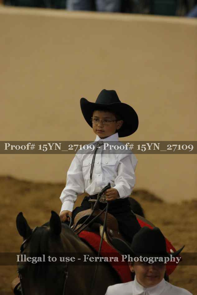 Proof 15YN_27109