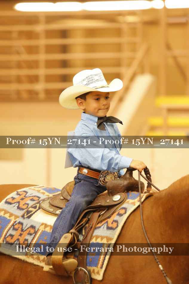 Proof 15YN_27141