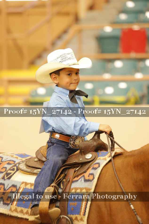 Proof 15YN_27142