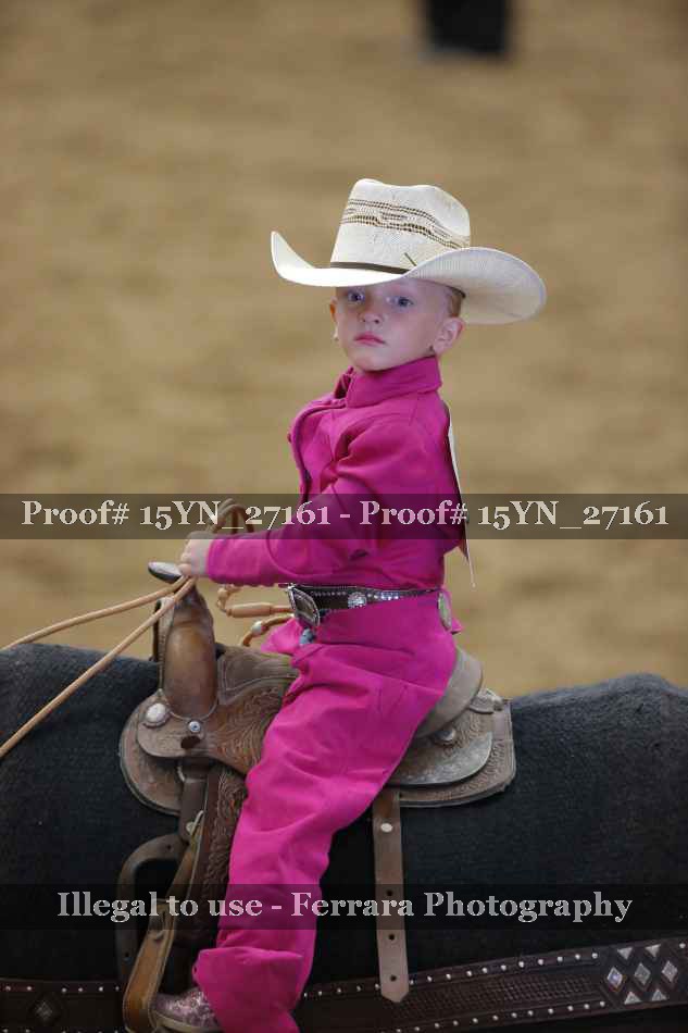 Proof 15YN_27161