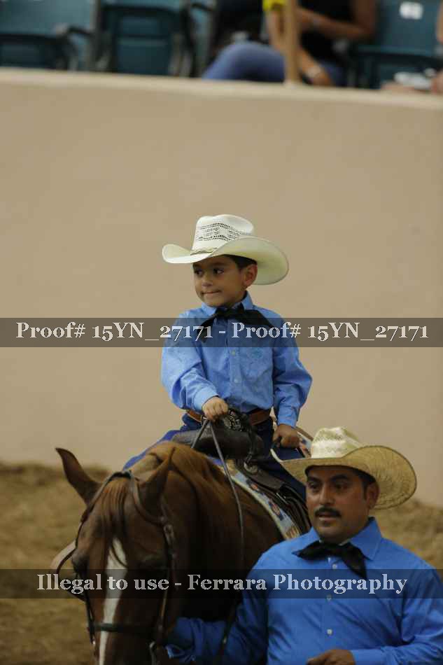 Proof 15YN_27171