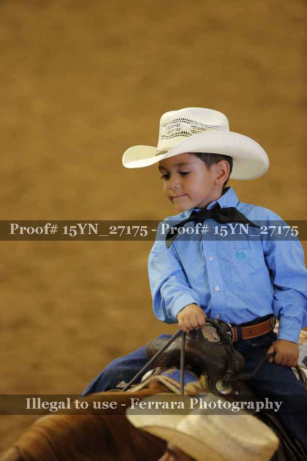 Proof 15YN_27175
