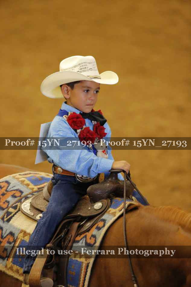 Proof 15YN_27193
