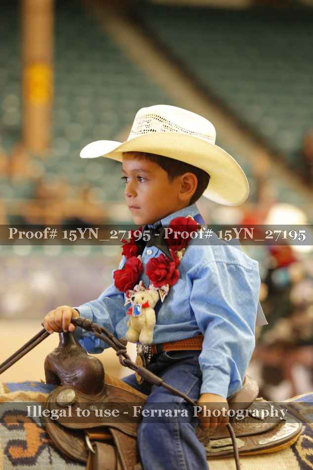 Proof 15YN_27195