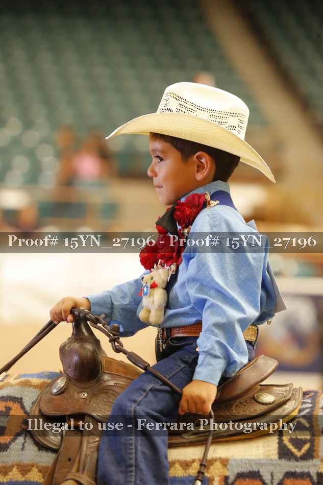 Proof 15YN_27196