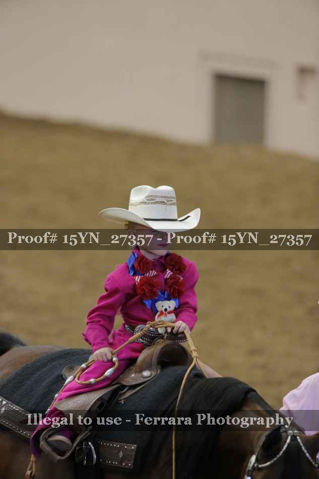 Proof 15YN_27357