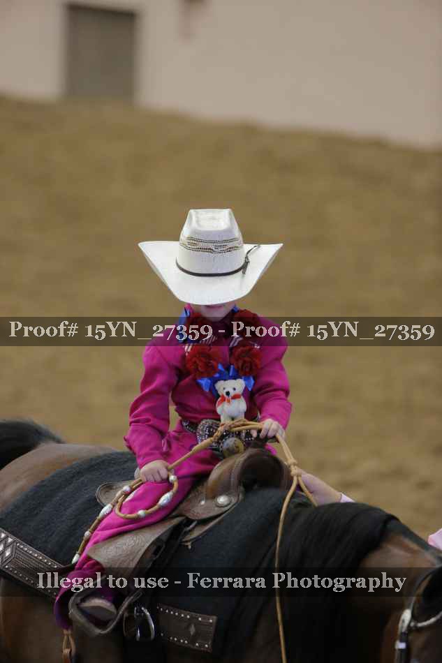 Proof 15YN_27359