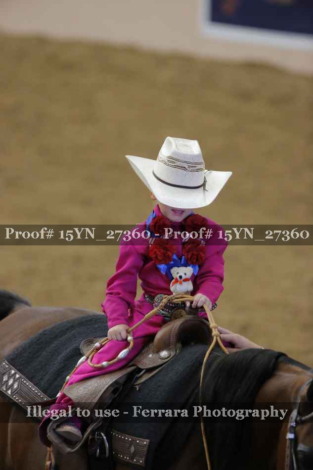 Proof 15YN_27360