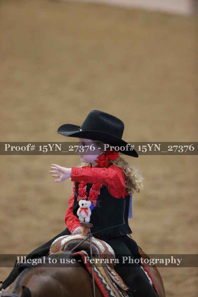 Proof 15YN_27376