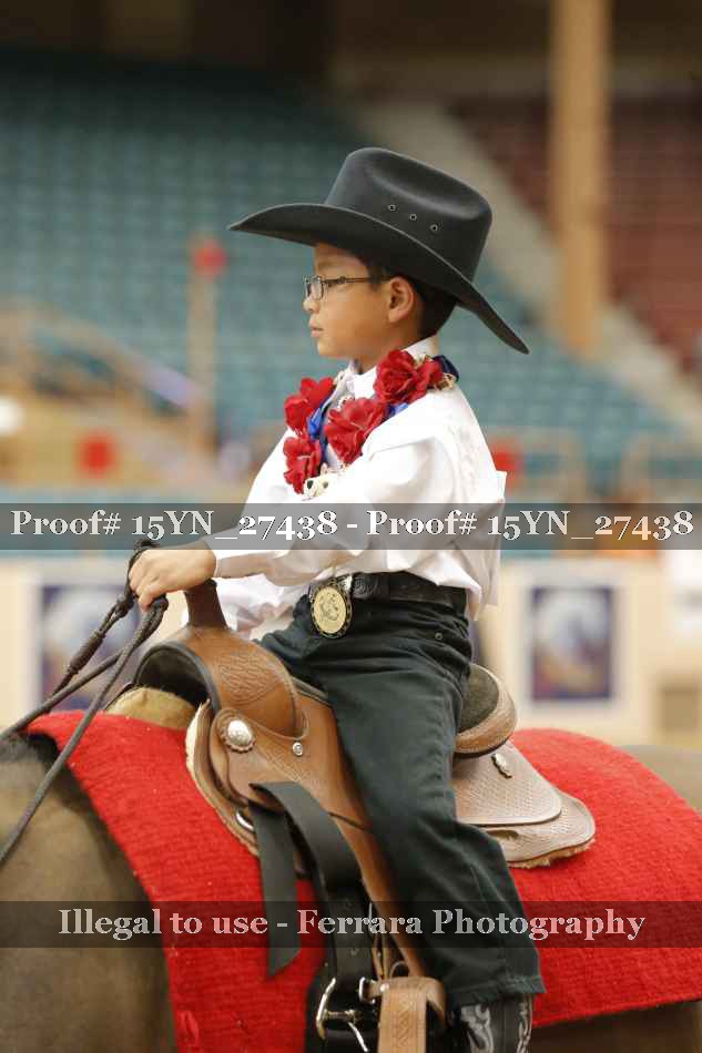 Proof 15YN_27438