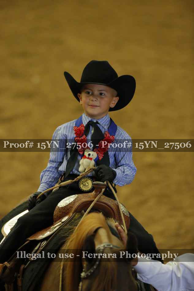 Proof 15YN_27506