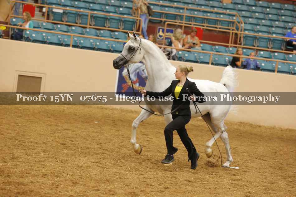 Proof 15YN_07675