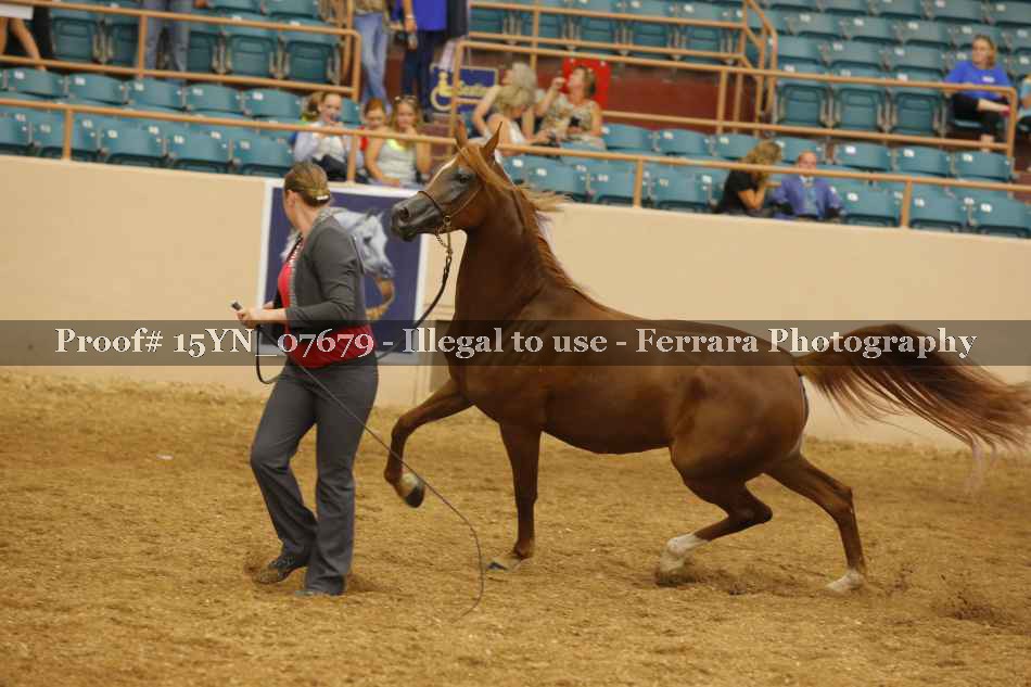 Proof 15YN_07679