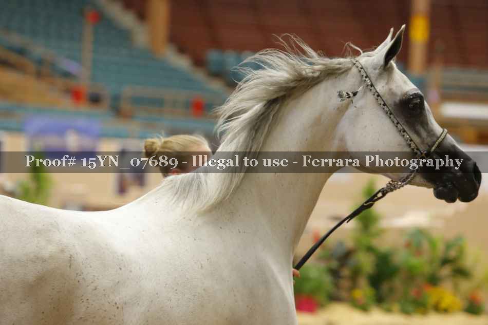 Proof 15YN_07689
