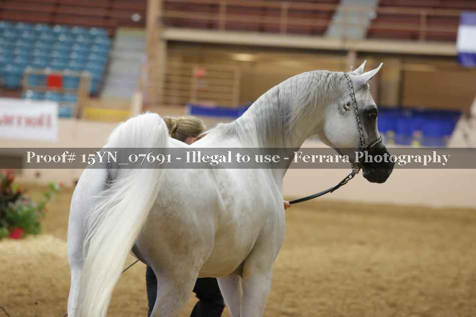 Proof 15YN_07691