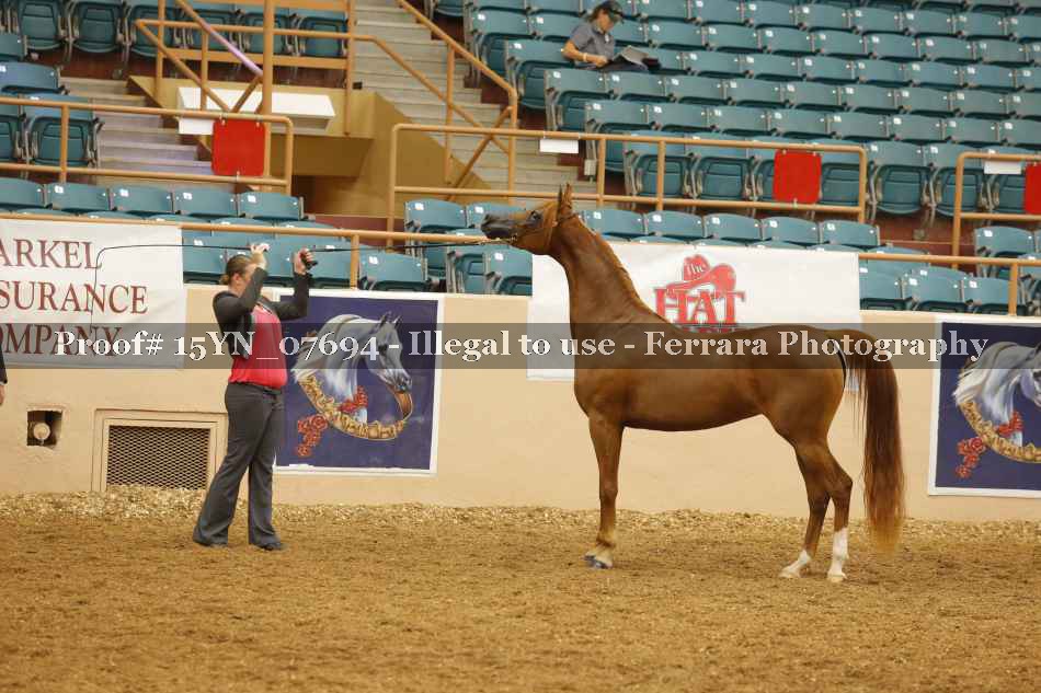 Proof 15YN_07694