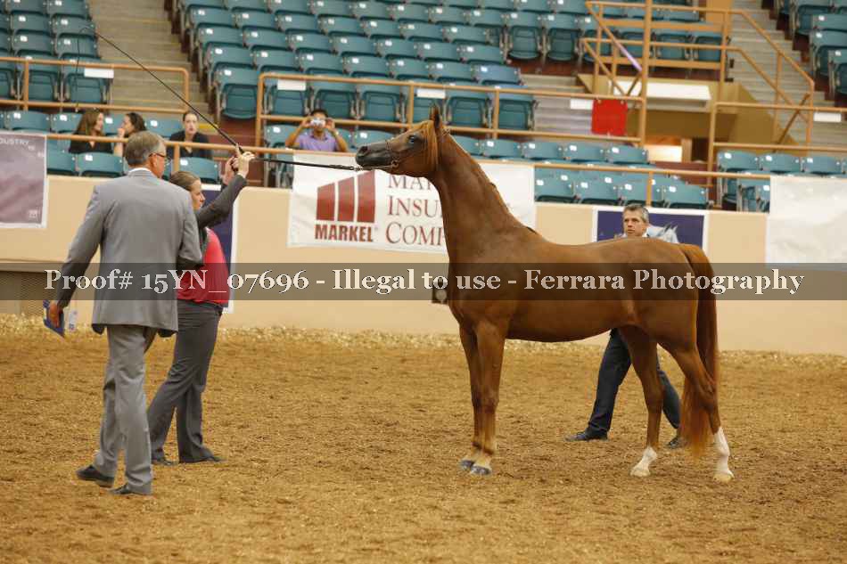 Proof 15YN_07696