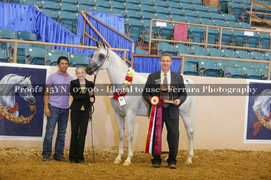 Proof 15YN_07706