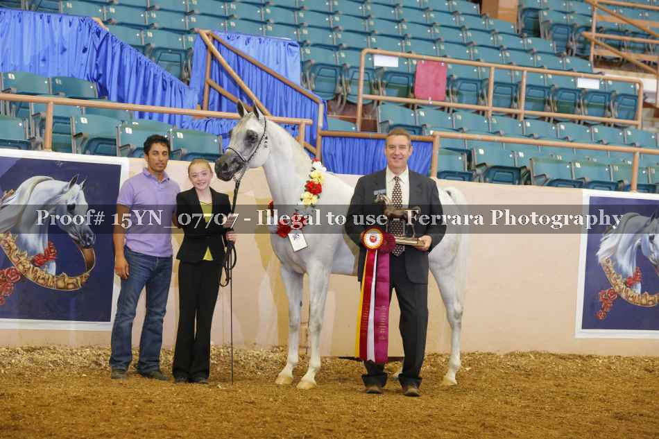 Proof 15YN_07707