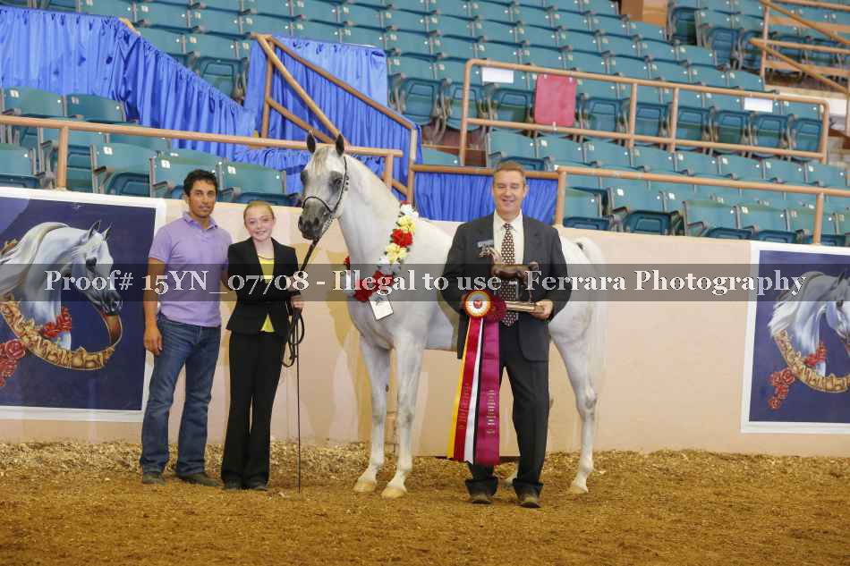 Proof 15YN_07708