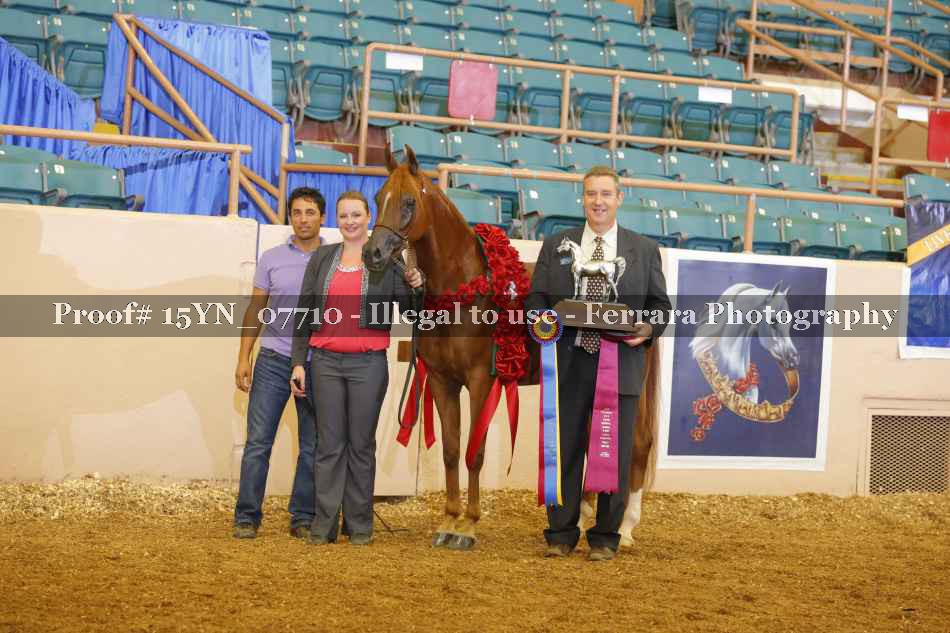 Proof 15YN_07710