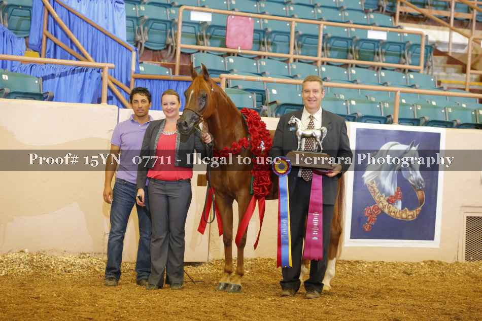 Proof 15YN_07711