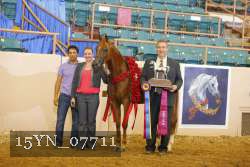 15YN_07711 proof