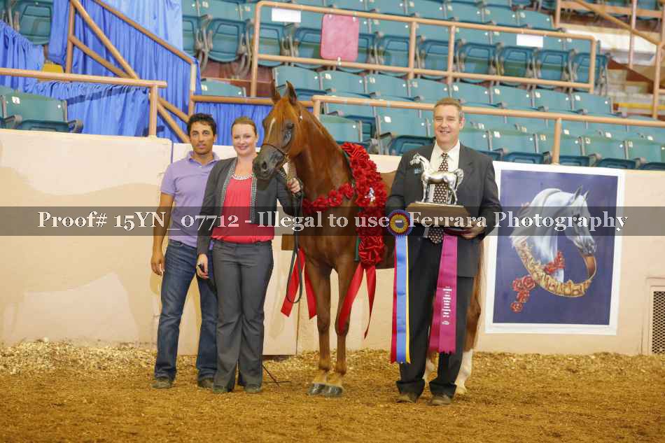 Proof 15YN_07712