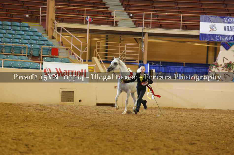 Proof 15YN_07714