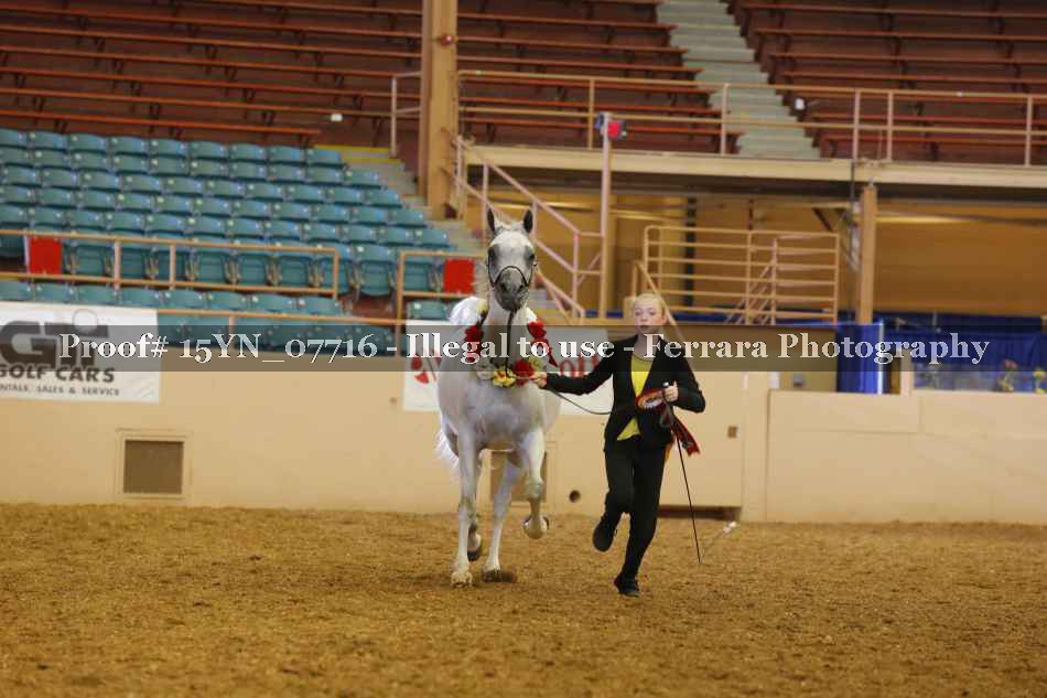 Proof 15YN_07716