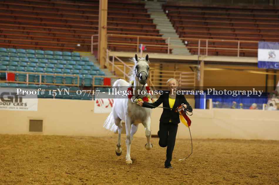 Proof 15YN_07717